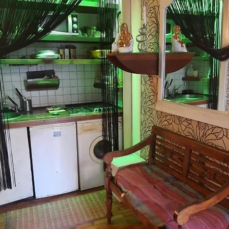 Casa In Centro Con Giardino Appartamento *